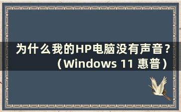 为什么我的HP电脑没有声音？ （Windows 11 惠普）